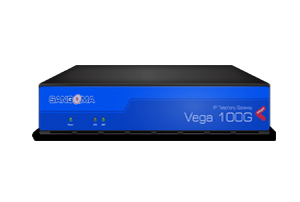 VEGA 100G